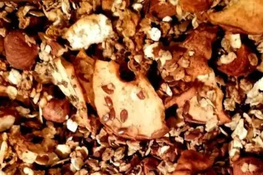 Avenantramidi i neistražena korist od tih antioksidansa