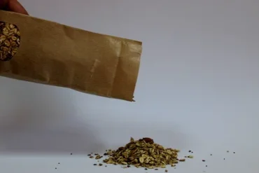 Veganska granola: Kako do ukusne i nutritivno bogate granole?