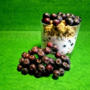 Jogurt granola za doručak s aronijom rezime je slatkog, kiselog i trpkog okusa.