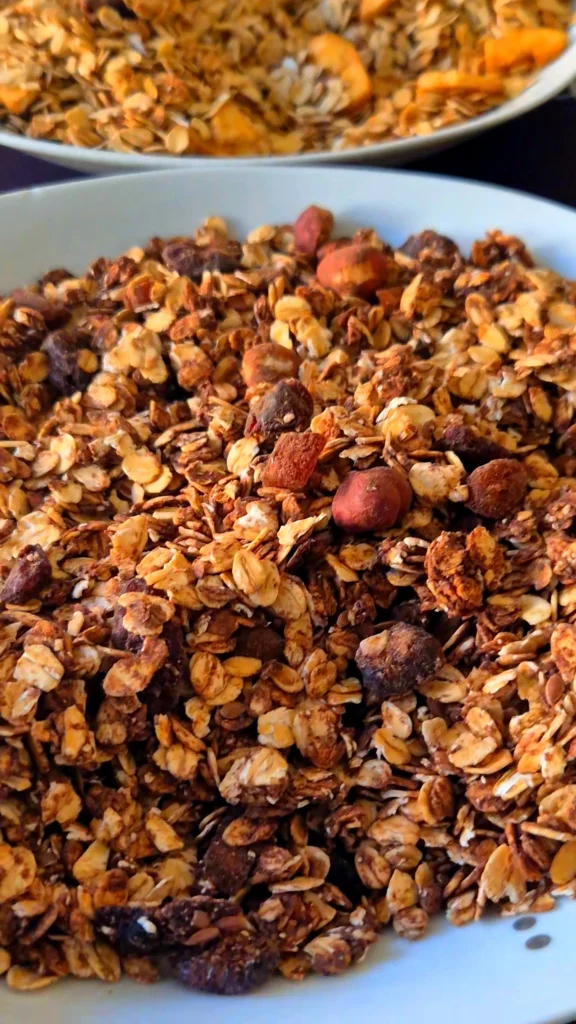 Domaća granola bogata sušenim zobenim pahuljicama, orašastim plodovima i suhim voćem